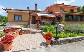 Apartman Branka